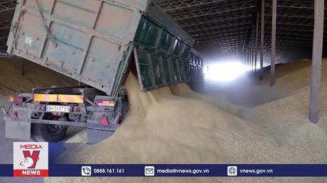 Ukraine tạo thuận lợi cho hoạt động xuất khẩu ngũ cốc