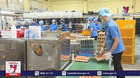 Doanh nghiệp mới gia nhập trị trường cao kỷ lục