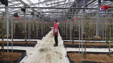 Cuộc sống xanh ngày 28/8/2022