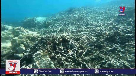 Tour du lịch Một hành trình, ba điểm đến