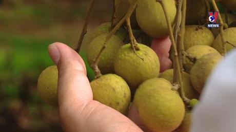 Bản tin tiếng Anh ngày 28/8/2022