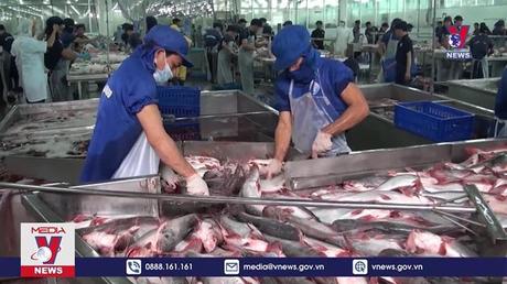 Xuất khẩu cá tra năm nay có thể vượt mốc 2,26 tỷ USD