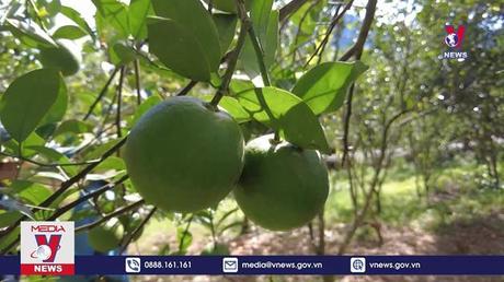 Bản tin thời sự 21h ngày 28/8/2022