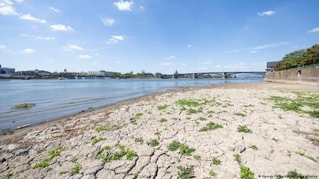 Thế giới tuần qua: Số ca mắc đậu mùa khỉ có xu hướng giảm; Hạn hán nghiêm trọng ở Trung Quốc, châu Âu