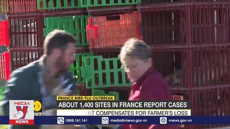 Pháp phát hiện ổ cúm gia cầm mới