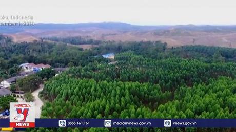 Indonesia khởi động giai đoạn 1 phát triển thủ đô mới