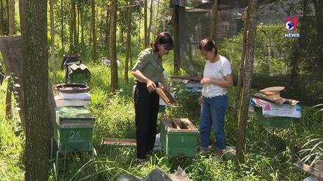 Giảm nghèo bền vững gắn với nâng cao chất lượng nguồn nhân lực