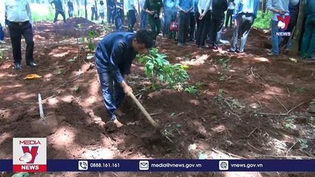 Bình Phước cất bốc thêm nhiều hài cốt liệt sĩ trong lô cao su