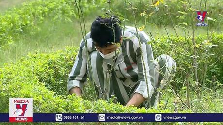 Ngày trở về của phạm nhân được đặc xá