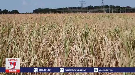 Biến đổi khí hậu vẫn là mối lo ngại hàng đầu