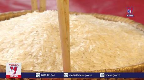 Bản tin thời sự 06h ngày 4/9/2022