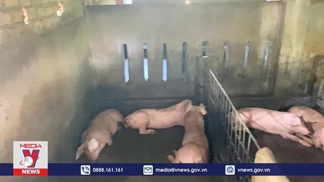 Nông nghiệp đối mặt nhiều thách thức cuối năm