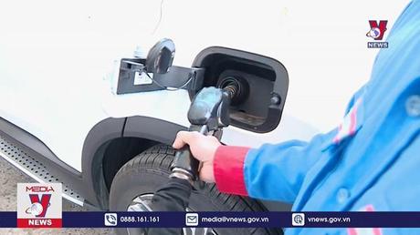 Dự báo giá xăng sẽ giảm mạnh, giá dầu tăng  