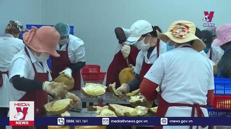 Nâng tầm Sầu riêng Đắk Lắk