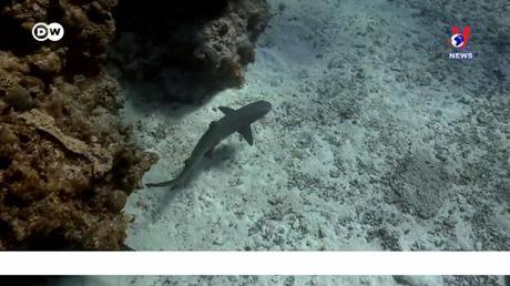 Tạp chí toàn cầu số 581 