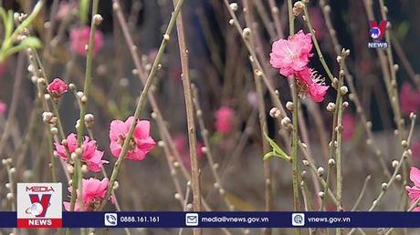 Đề xuất phương án nghỉ Tết Nguyên Đán 8 ngày