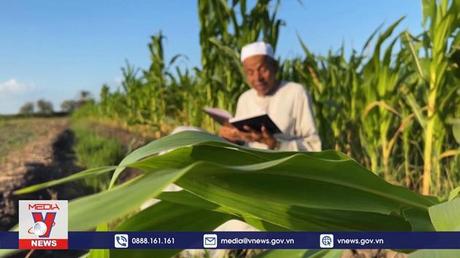 Người truyền cảm hứng đọc sách tới người dân xứ Kim tự tháp