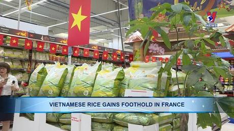 Bản tin tiếng Anh ngày 08/9/2022