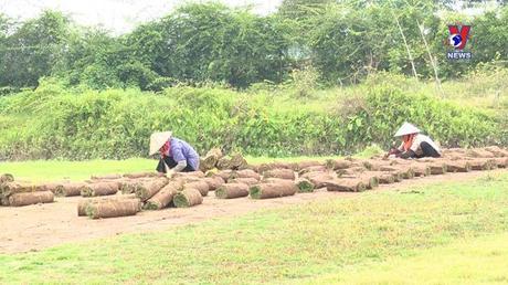 Nhật trình kinh tế ngày 08/9/2022