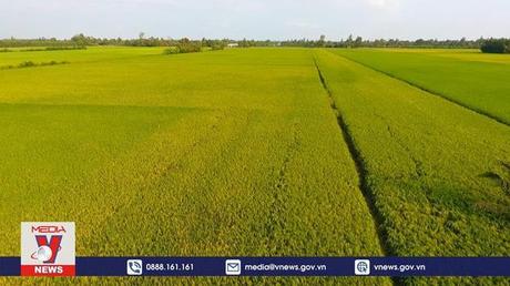 Triển khai Nghị quyết 19 về nông nghiệp