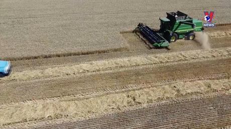 Thế giới hôm nay: Nắng nóng cực đoan đe dọa sản lượng lương thực toàn cầu