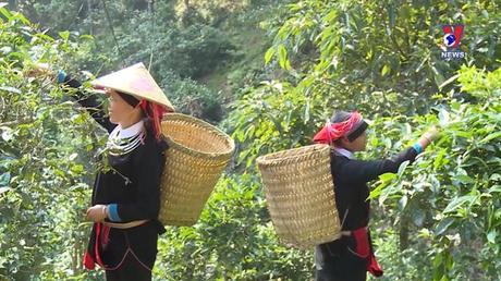 Bản tin Tiếng Trung ngày 11/9/2022