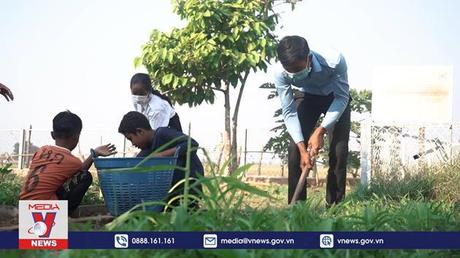 Rèn luyện kỹ năng sống với vườn rau trong trường học