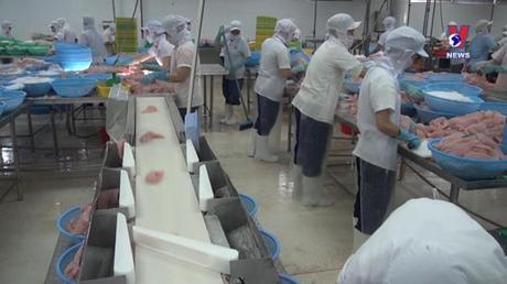 Bản tin Tiếng Anh ngày 11/9/2022