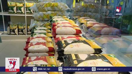 Gạo thơm ST24 đạt chứng nhận 5 sao