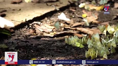 Bản tin Thời sự 11h ngày 11/9/2022