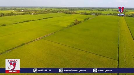 Bản tin Thời sự 17h ngày 11/9/2022