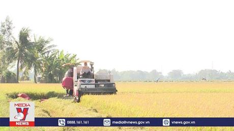 Tạo niềm tin cho người trồng lúa