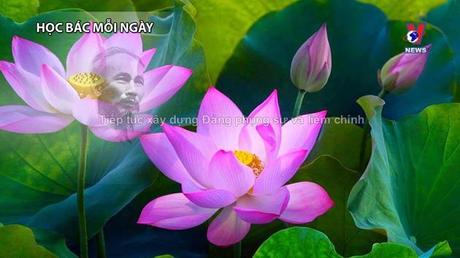 Học Bác mỗi ngày: Tư tưởng Hồ Chí Minh về tôn giáo