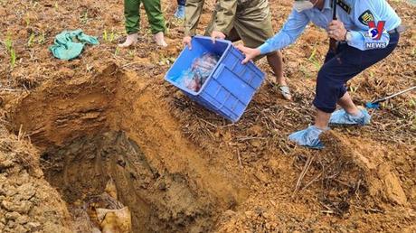 Đường dây nóng 389 ngày 12/9/2022