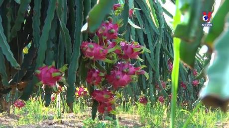 Bản tin tiếng Anh ngày 13/9/2022