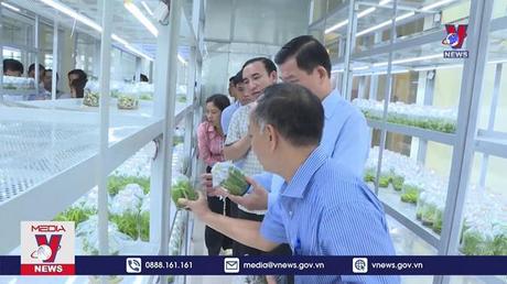 Đồng Nai chậm ban hành đơn giá bồi thường cây trồng 