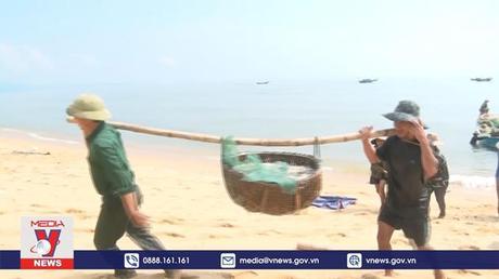 Ngư dân vùng bãi ngang Quảng Bình trúng mùa cá cơm