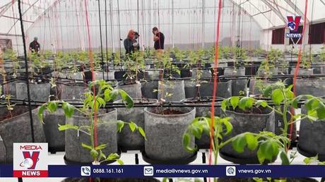 Kỹ thuật canh tác thích ứng với biến đổi khí hậu