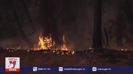 Cháy rừng nghiêm trọng tại Pháp và Mỹ