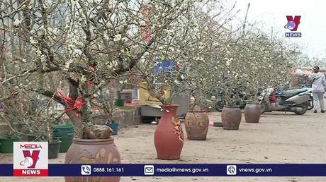 Bộ Tài chính đề xuất nghỉ Tết Âm lịch 9 ngày