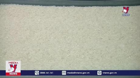 Gạo xuất khẩu của Việt Nam lên giá nhanh