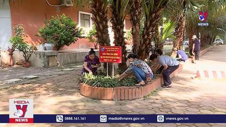 Lan tỏa mô hình chung cư xanh, ban công xanh