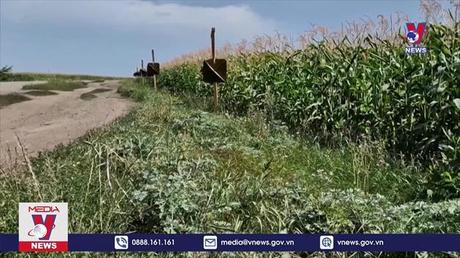 WB viện trợ 30 tỷ USD giải quyết tình trạng thiếu lương thực 