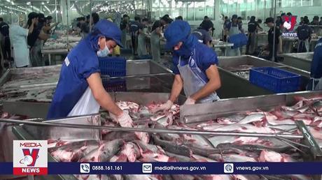 Mỹ giữ nguyên thuế nhập khẩu với cá tra, cá basa của Việt Nam

