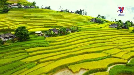 Thông điệp lịch sử: Di sản ruộng bậc thang Hoàng Su Phì