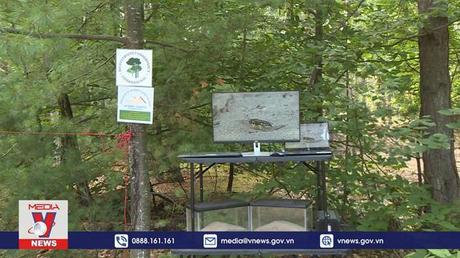 Tái tạo đồi cát giữa lòng thủ đô Canada 