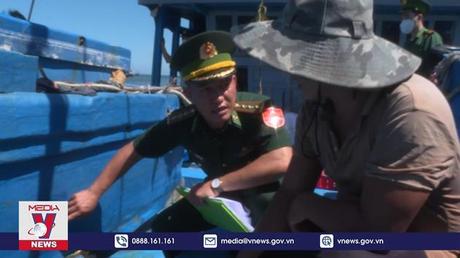 Xác minh vụ tàu cá Quảng Ngãi bị cướp tại Trường Sa