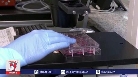 Trung Quốc đại lục ghi nhận ca bệnh đậu mùa khỉ đầu tiên