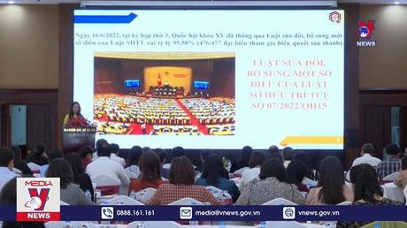 Tăng cường quản lý, thực thi có hiệu quả quyền tác giả 