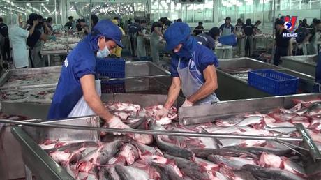 Bản tin tiếng Tây Ban Nha ngày 19/9/2022